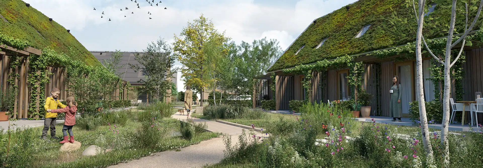 De groene woonhof in GeWOON Groen Didam, met energiezuinige in hout gebouwde woningen, sedumdaken, natuurlijke beplanting en een duurzame leefomgeving.